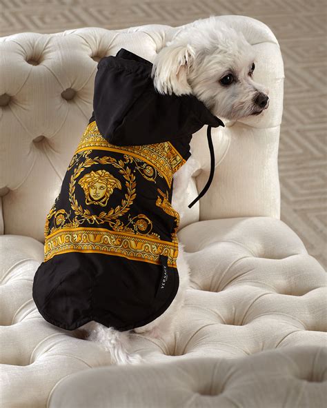 versace dog raincoat.